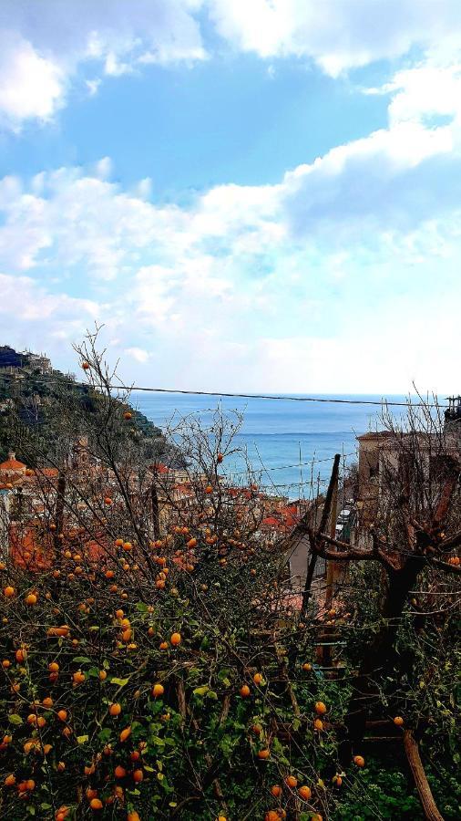 Il Limoneto Degli Angeli Villa Minori Exterior photo