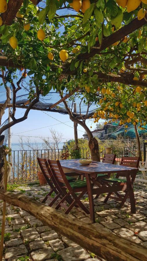 Il Limoneto Degli Angeli Villa Minori Exterior photo